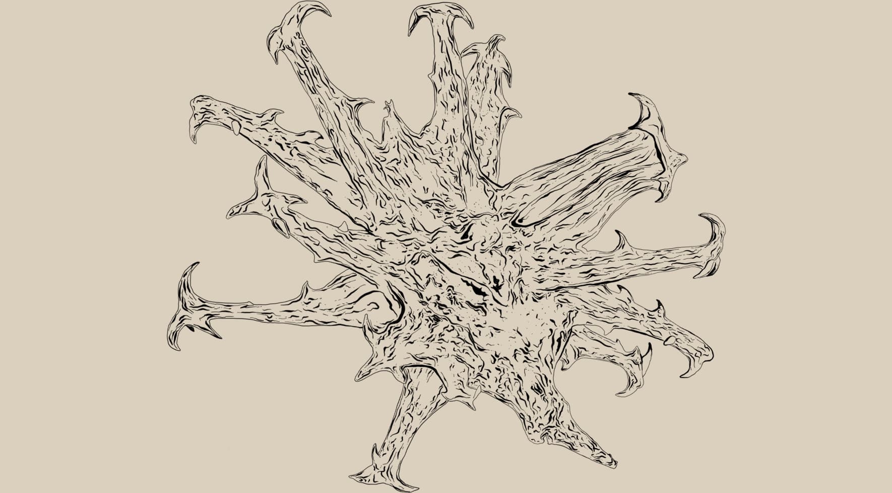 Harpagophytum procumbens