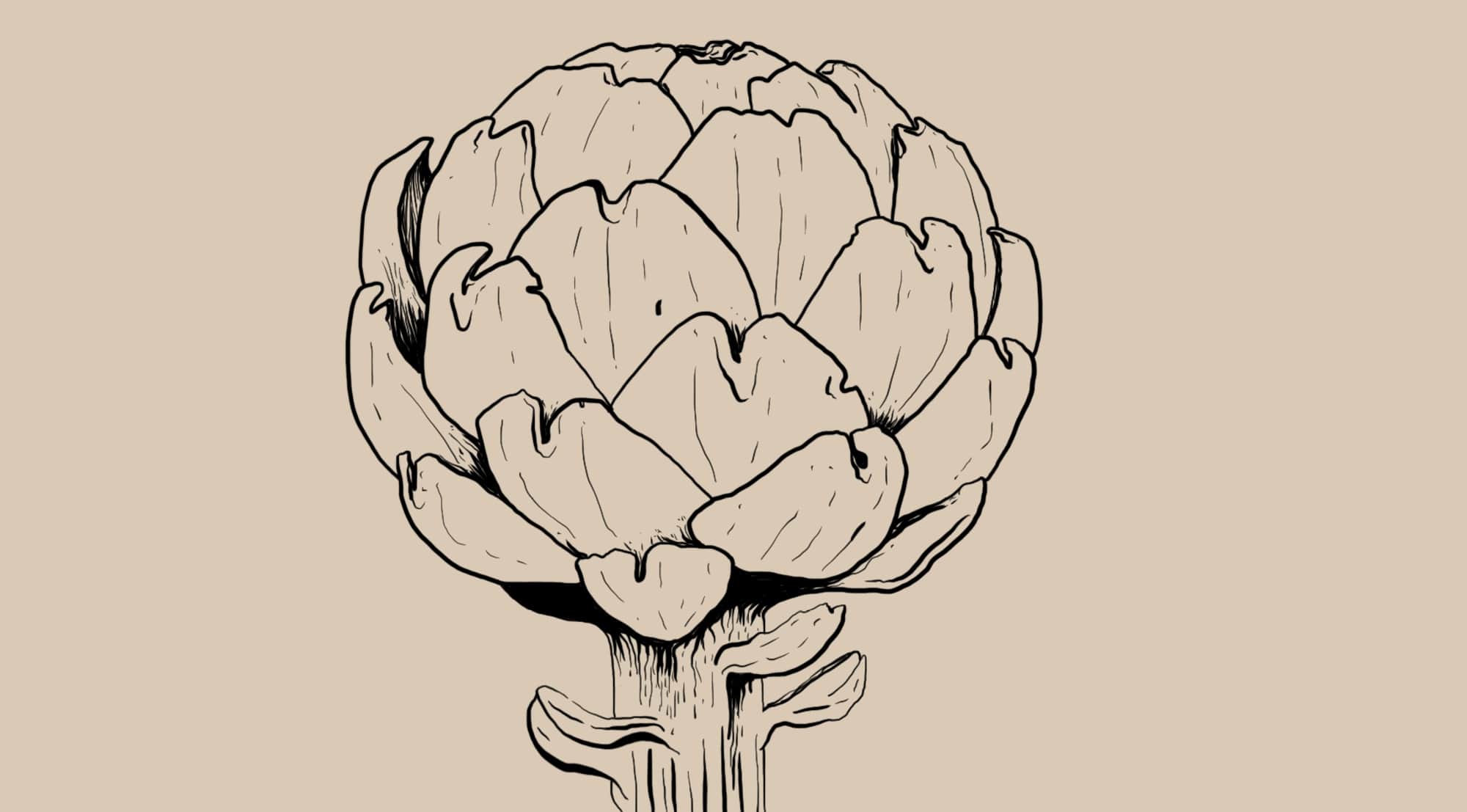 Cynara scolymus