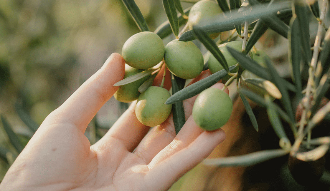 WL_ConsciouslyCreated_2